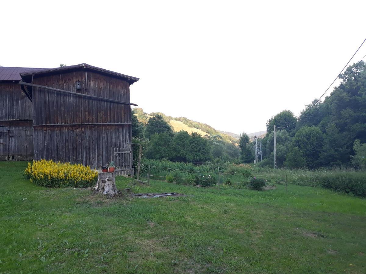 Pokoje Goscinne Thank You Life, Apartament 2 Forest For Rest 比斯 外观 照片